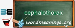 WordMeaning blackboard for cephalothorax